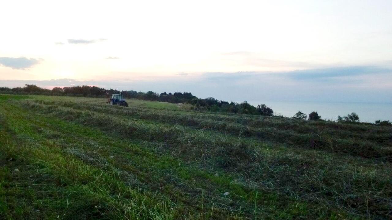 Agriturismo La Costa Dei Trabocchi Torino di Sangro Zewnętrze zdjęcie